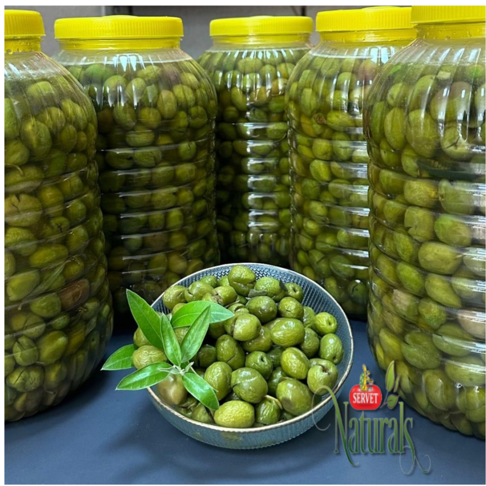 Kırma Zeytin