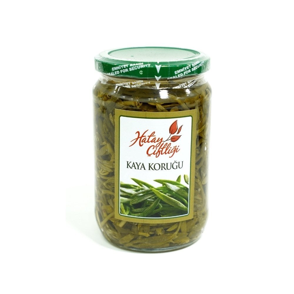 Kaya Koruğu