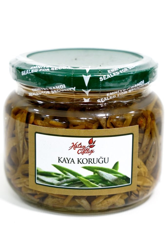 Kaya Koruğu