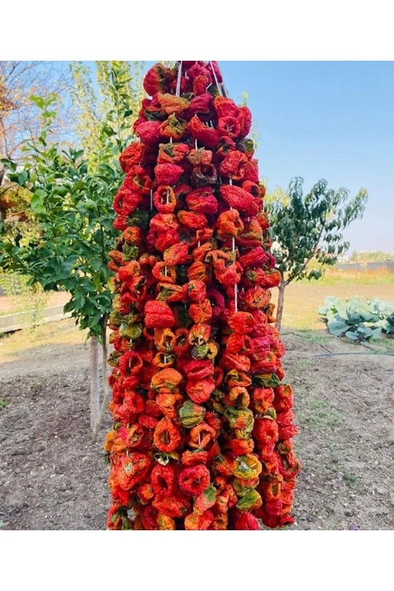 Kuru Biber 1 Bağ (45-50Ad)