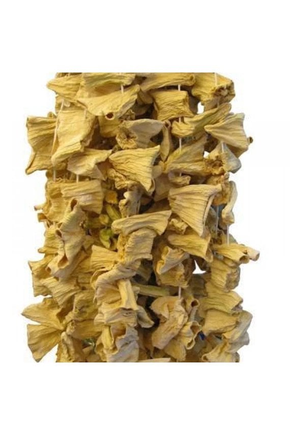 Kuru Kabak 1Bağ(50Ad)