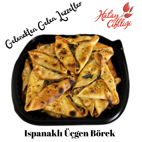 Ispanaklı Üçgen Börek