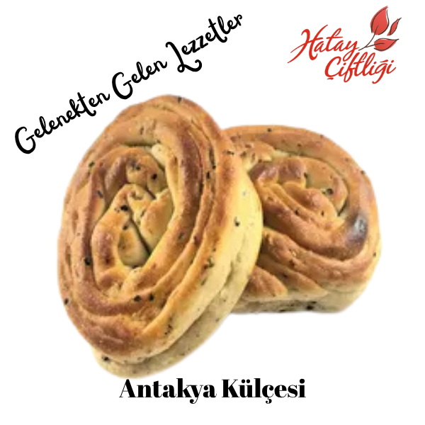 Antakya Külçesi